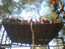 scouts de zwaluw jongverkenners jonggidsen